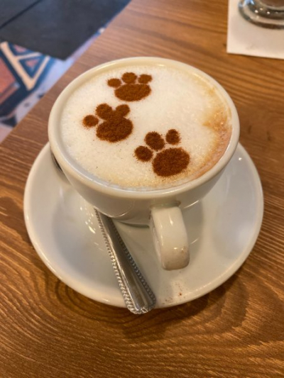 Catpuccino