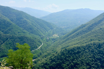 view