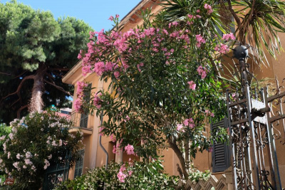 Levanto