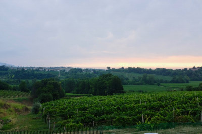 Prosecco