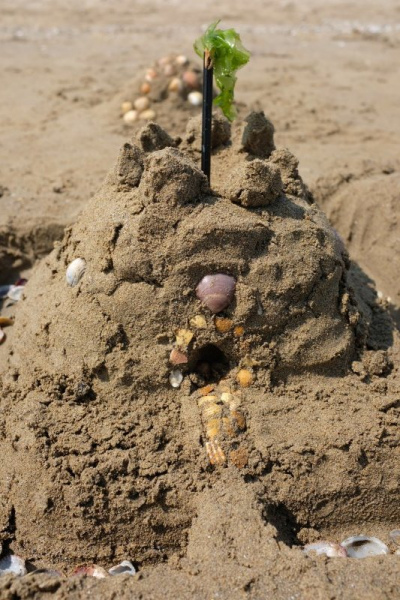 Sand castle