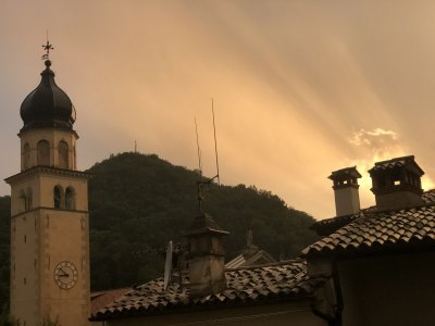 Tarzo