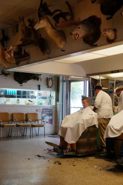 Haircut