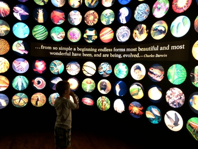 In the Field Museum