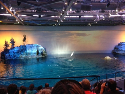 Shedd Aquarium