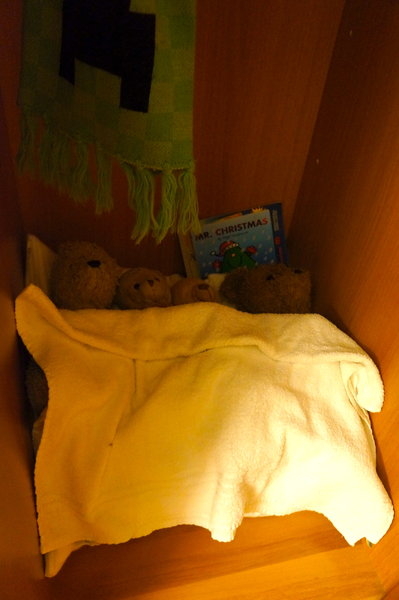 bears
