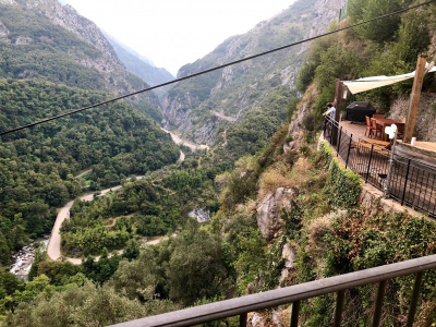 view