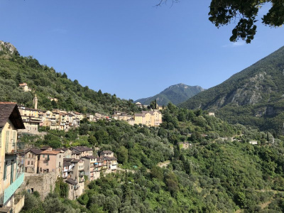view