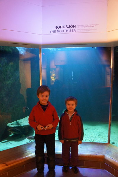 museum