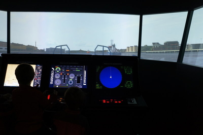 computer simulator