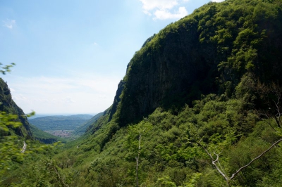 Typical view