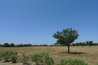 p1090580