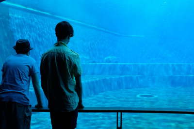 aquarium