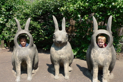 At the Central Park zoo