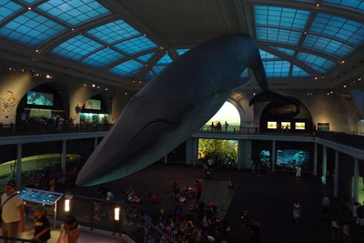 Natural History Museum